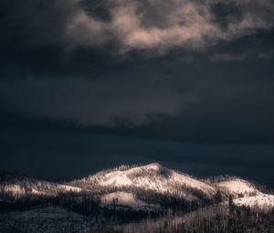 Preview wallpaper mountains, peak, forest, trees, snow, snowy