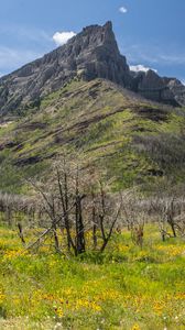 Preview wallpaper mountains, peak, grass, trees, slope