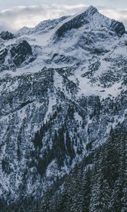 Preview wallpaper mountains, peak, snow, snowy, sky, clouds, trees