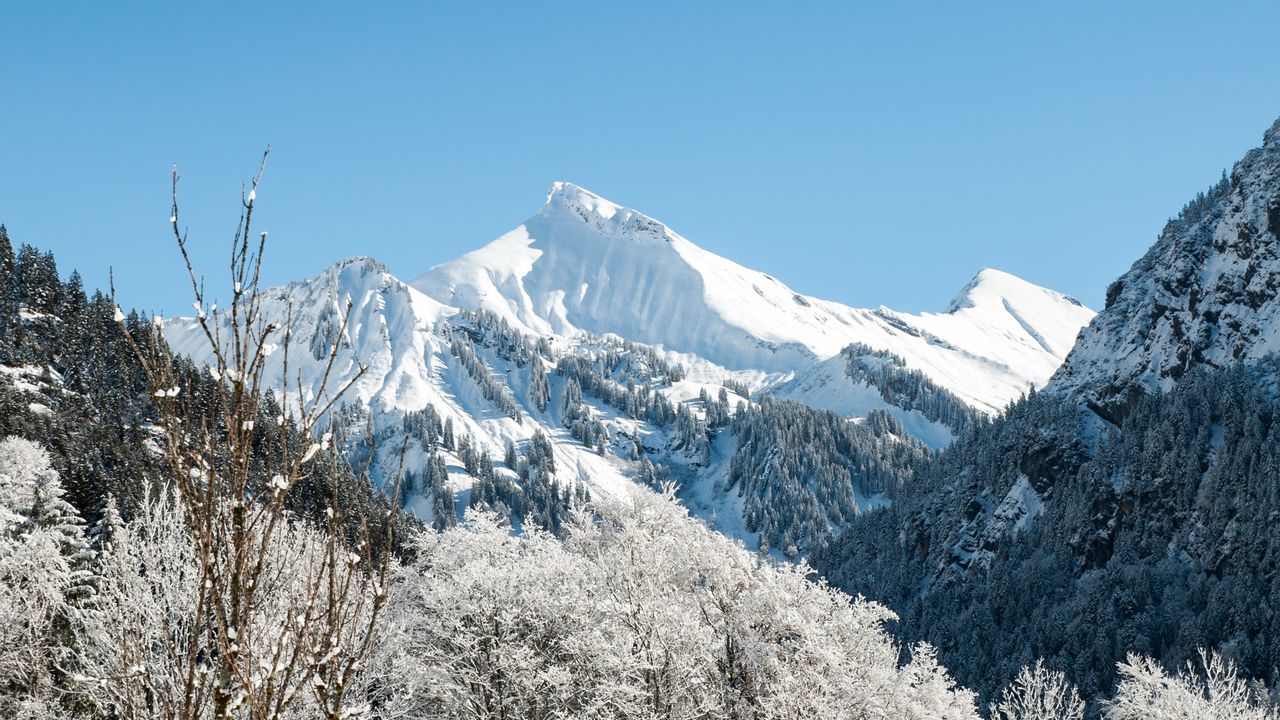 Wallpaper mountains, peak, snowy, trees, landscape