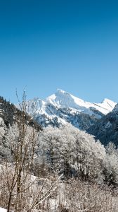 Preview wallpaper mountains, peak, snowy, trees, landscape