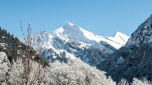 Preview wallpaper mountains, peak, snowy, trees, landscape