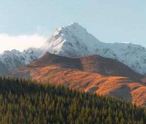 Preview wallpaper mountains, peak, spruce, trees, snowy