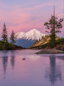 Preview wallpaper mountains, peak, tree, lake, nature