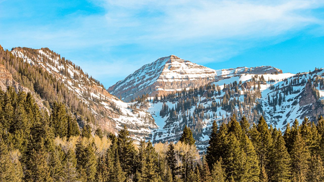 Wallpaper mountains, peak, trees, snowy