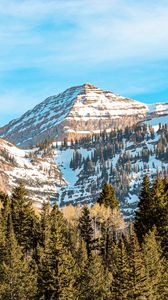 Preview wallpaper mountains, peak, trees, snowy