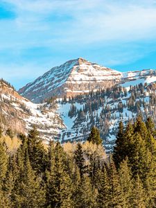 Preview wallpaper mountains, peak, trees, snowy
