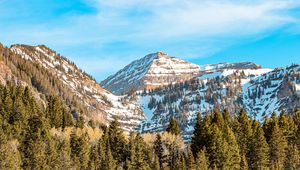 Preview wallpaper mountains, peak, trees, snowy