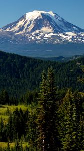 Preview wallpaper mountains, peak, trees, snowy, spruce