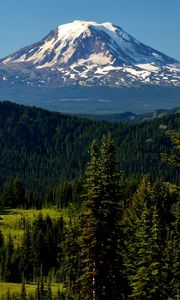 Preview wallpaper mountains, peak, trees, snowy, spruce