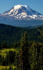 Preview wallpaper mountains, peak, trees, snowy, spruce