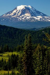 Preview wallpaper mountains, peak, trees, snowy, spruce