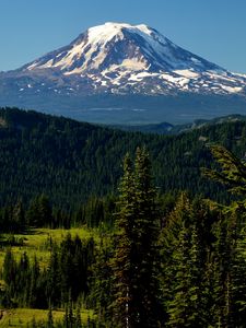 Preview wallpaper mountains, peak, trees, snowy, spruce