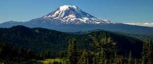 Preview wallpaper mountains, peak, trees, snowy, spruce