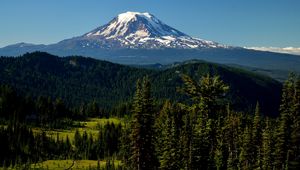 Preview wallpaper mountains, peak, trees, snowy, spruce