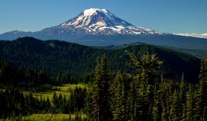 Preview wallpaper mountains, peak, trees, snowy, spruce