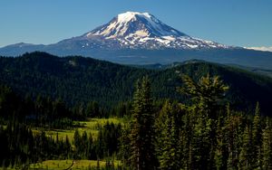 Preview wallpaper mountains, peak, trees, snowy, spruce