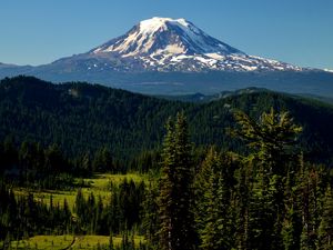 Preview wallpaper mountains, peak, trees, snowy, spruce