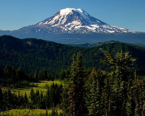 Preview wallpaper mountains, peak, trees, snowy, spruce