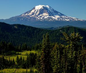 Preview wallpaper mountains, peak, trees, snowy, spruce