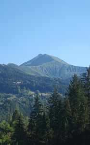 Preview wallpaper mountains, peak, trees, landscape, nature