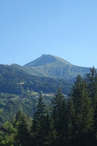 Preview wallpaper mountains, peak, trees, landscape, nature