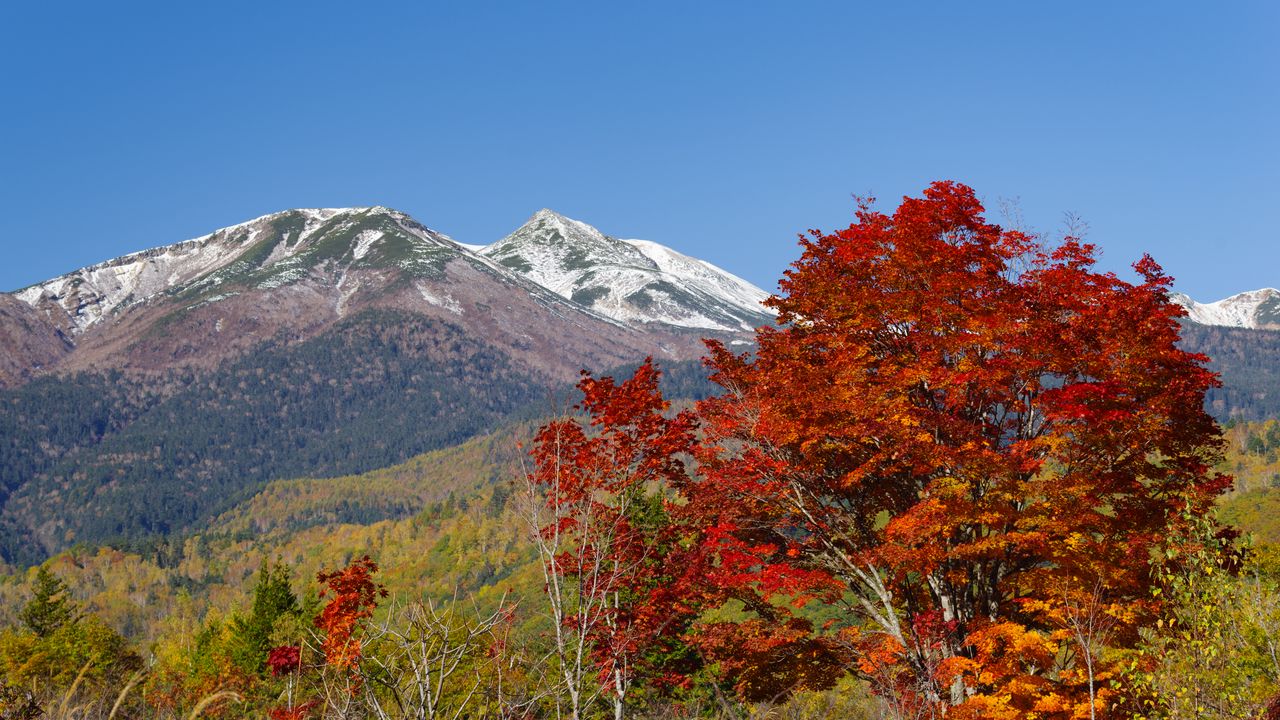 Wallpaper mountains, peak, trees, landscape