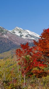 Preview wallpaper mountains, peak, trees, landscape