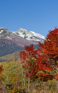 Preview wallpaper mountains, peak, trees, landscape