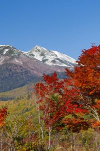 Preview wallpaper mountains, peak, trees, landscape