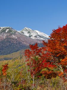 Preview wallpaper mountains, peak, trees, landscape