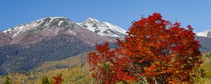 Preview wallpaper mountains, peak, trees, landscape