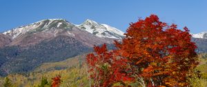 Preview wallpaper mountains, peak, trees, landscape