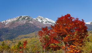 Preview wallpaper mountains, peak, trees, landscape