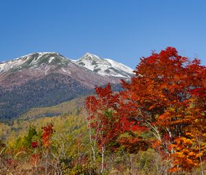 Preview wallpaper mountains, peak, trees, landscape