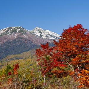 Preview wallpaper mountains, peak, trees, landscape