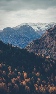 Preview wallpaper mountains, peaks, autumn, snowy, trees, sky