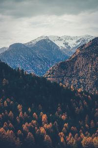 Preview wallpaper mountains, peaks, autumn, snowy, trees, sky