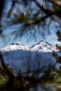 Preview wallpaper mountains, peaks, branches, view, landscape