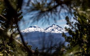 Preview wallpaper mountains, peaks, branches, view, landscape