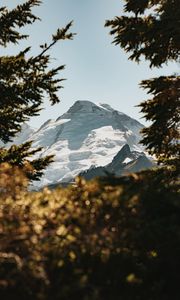 Preview wallpaper mountains, peaks, branches, snow, sky