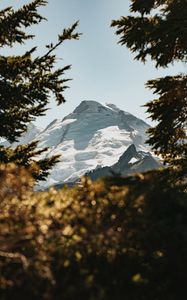 Preview wallpaper mountains, peaks, branches, snow, sky