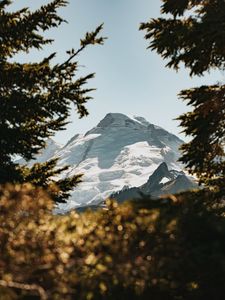 Preview wallpaper mountains, peaks, branches, snow, sky