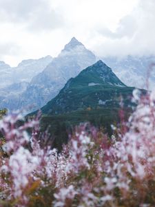 Preview wallpaper mountains, peaks, flowers, clouds, landscape