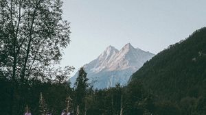 Preview wallpaper mountains, peaks, flowers, branches