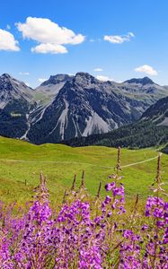 Preview wallpaper mountains, peaks, flowers, wildflowers, landscape