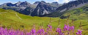 Preview wallpaper mountains, peaks, flowers, wildflowers, landscape