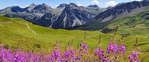 Preview wallpaper mountains, peaks, flowers, wildflowers, landscape