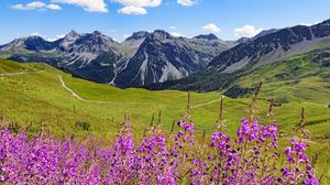 Preview wallpaper mountains, peaks, flowers, wildflowers, landscape