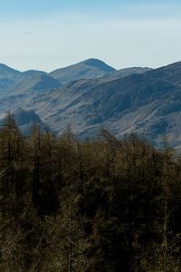 Preview wallpaper mountains, peaks, forest, trees, landscape, nature